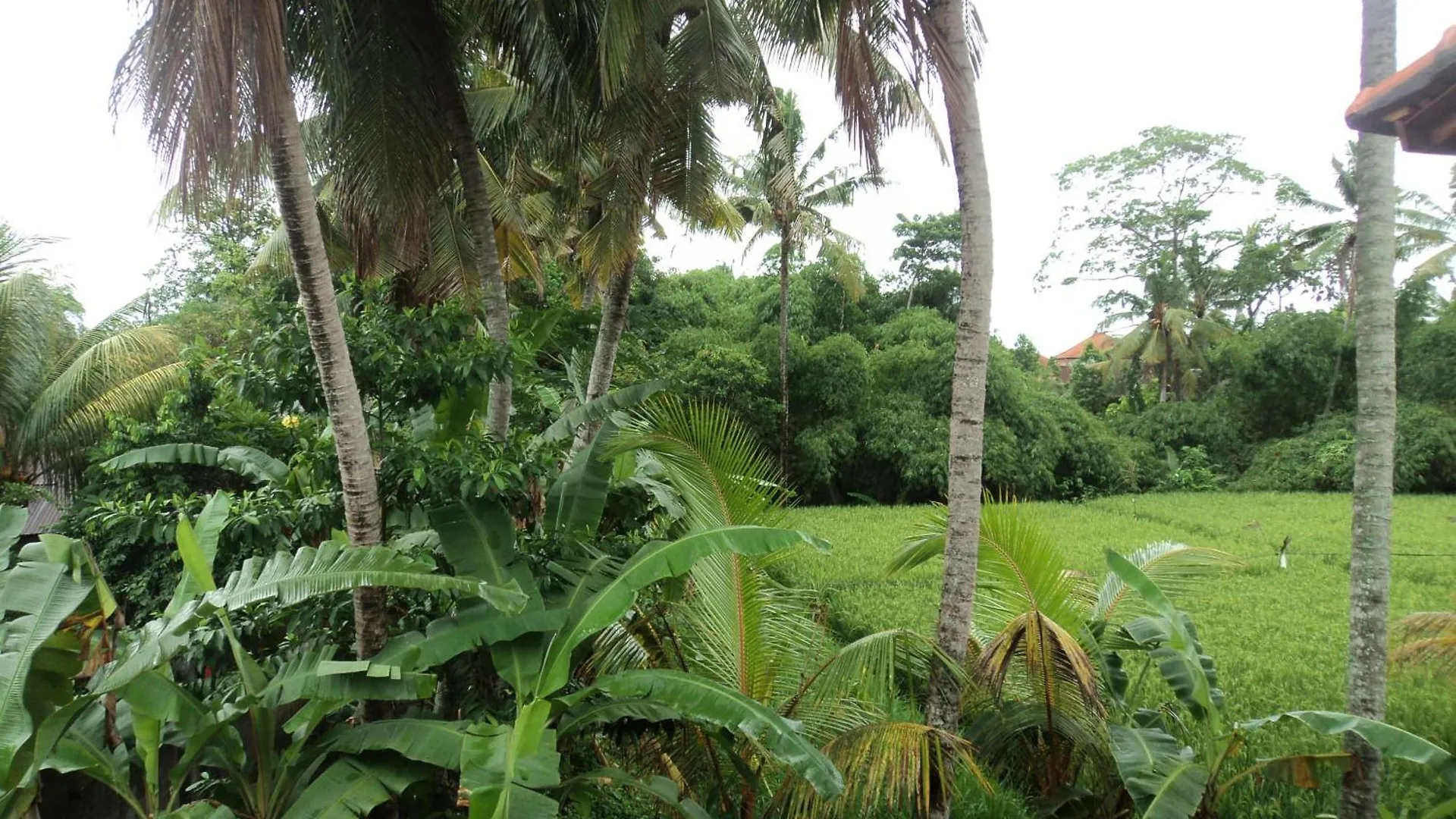 Villa Bhuana Alit Ubud